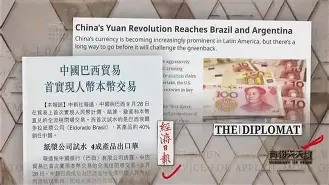 汉堡签下巴西新锋，期待其为球队带来进球的简单介绍