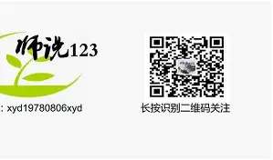 洪都拉斯球队全力拼搏，晋级之路的简单介绍