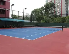 球场上的每一个瞬间都充满了激情与期待英语