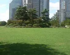 九州娱乐官网-包含宁波海港客场逼平上海绿地申花，保级压力依旧存在的词条