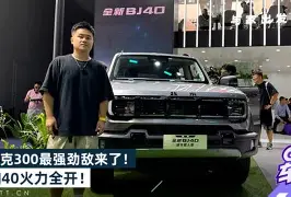 猛龙的阵容