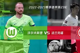 九州平台-沃尔夫斯堡主场失利，联赛排名下滑的简单介绍